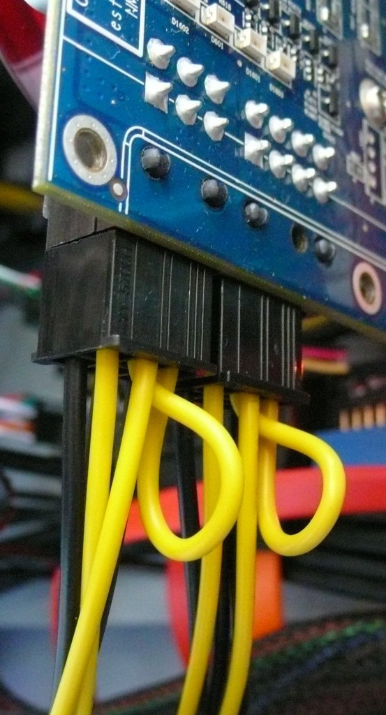 P1010227 CINQUO P1010227 CINQUO