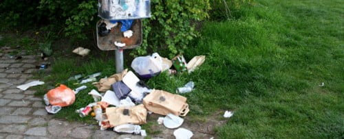 une zone herbeuse avec des déchets au sol.