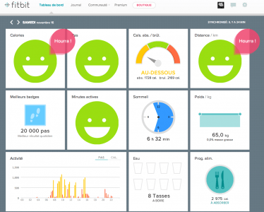 fitbit_bord_2