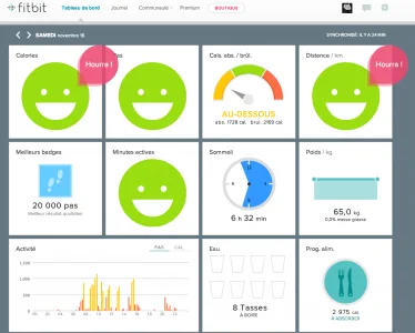 fitbit_bord_2